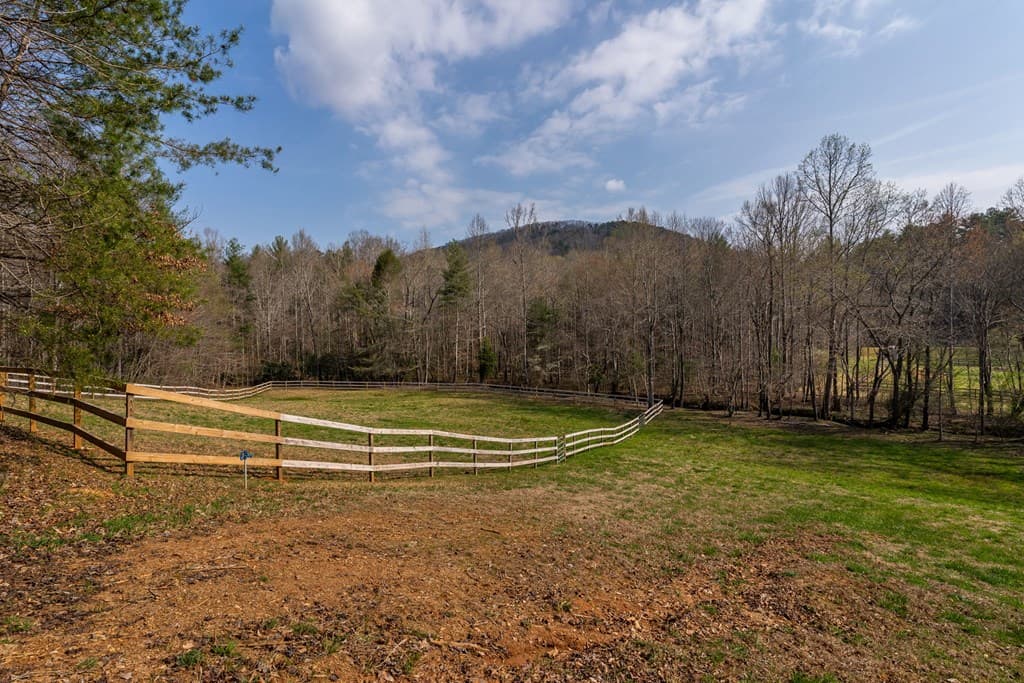 1132 Hells Hollow Road, Blue Ridge GA 30513 - Photo