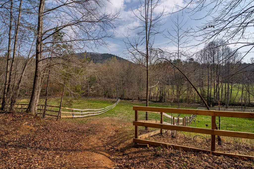 1132 Hells Hollow Road, Blue Ridge GA 30513 - Photo