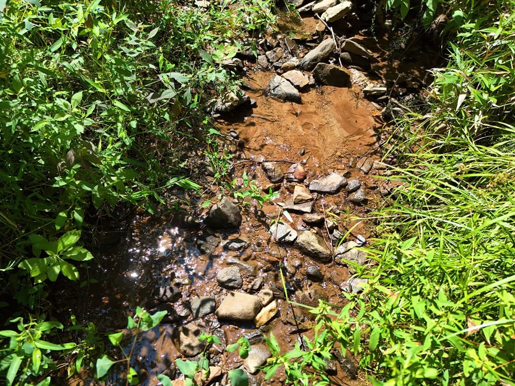 145 Ac. Bell Mountain, Hiawassee GA 30546 - Photo