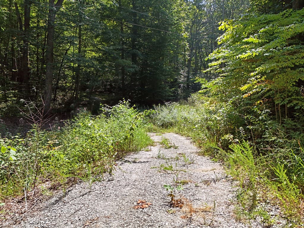 145 Ac. Bell Mountain, Hiawassee GA 30546 - Photo