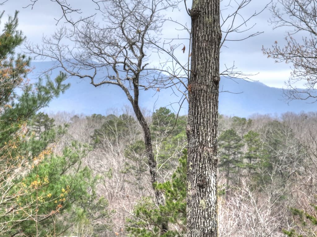 111 Roaring Creek Road, Epworth GA 30541 - Photo