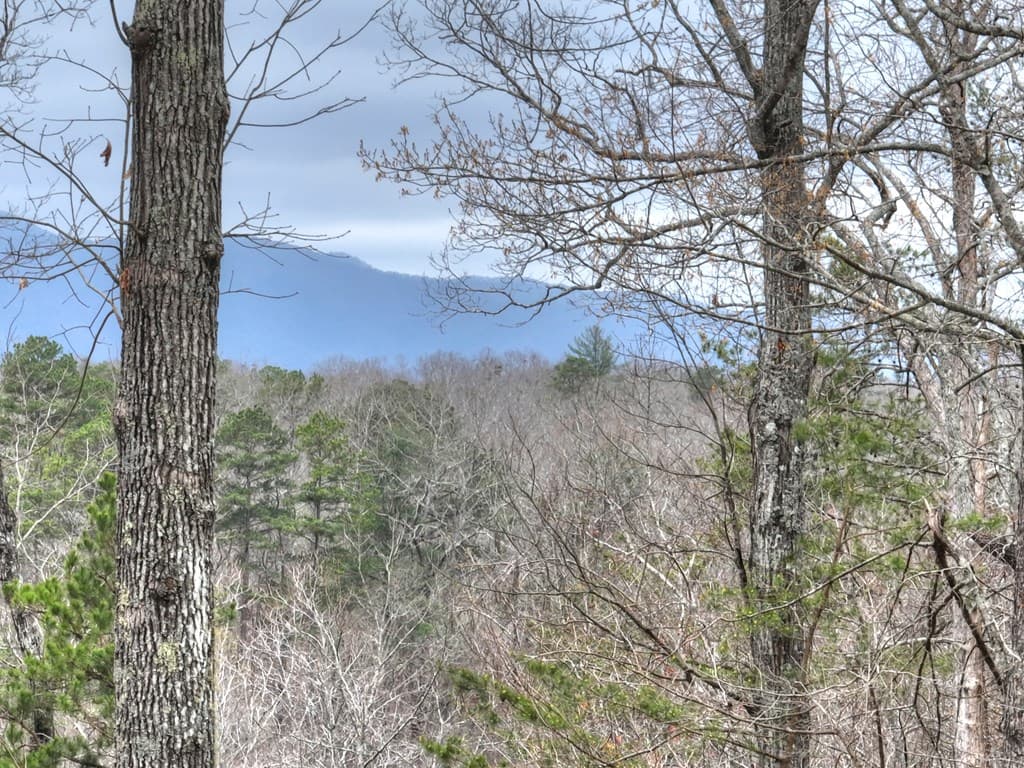 111 Roaring Creek Road, Epworth GA 30541 - Photo
