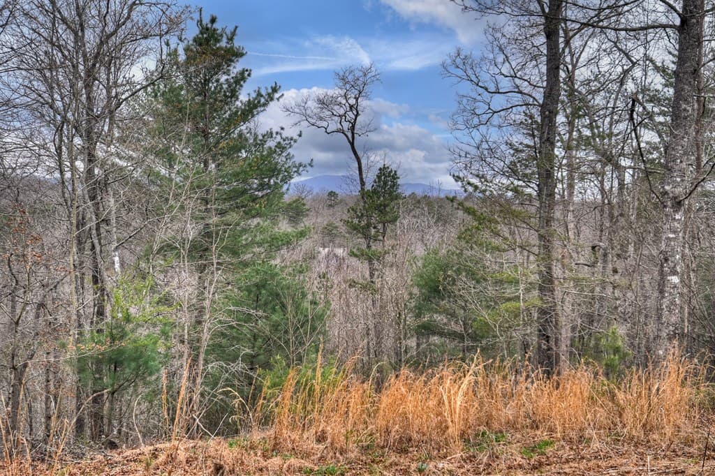111 Roaring Creek Road, Epworth GA 30541 - Photo