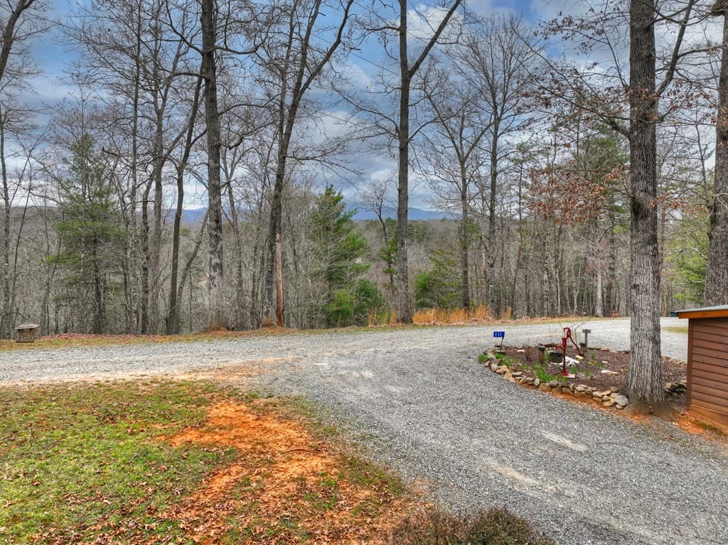 111 Roaring Creek Road, Epworth GA 30541 - Photo
