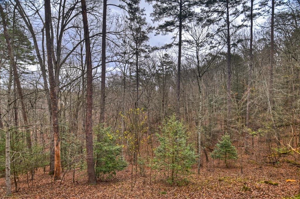 111 Roaring Creek Road, Epworth GA 30541 - Photo