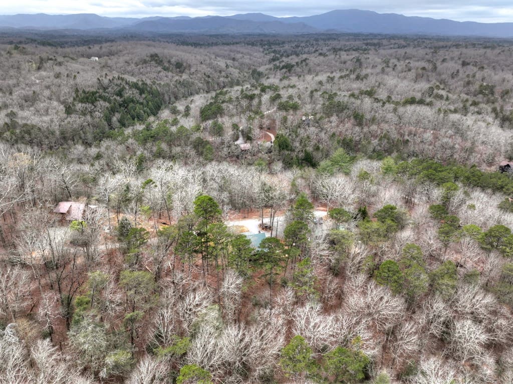 111 Roaring Creek Road, Epworth GA 30541 - Photo