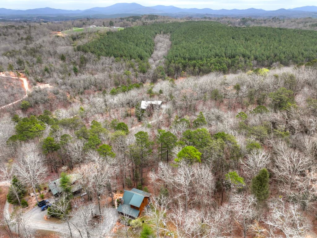 111 Roaring Creek Road, Epworth GA 30541 - Photo