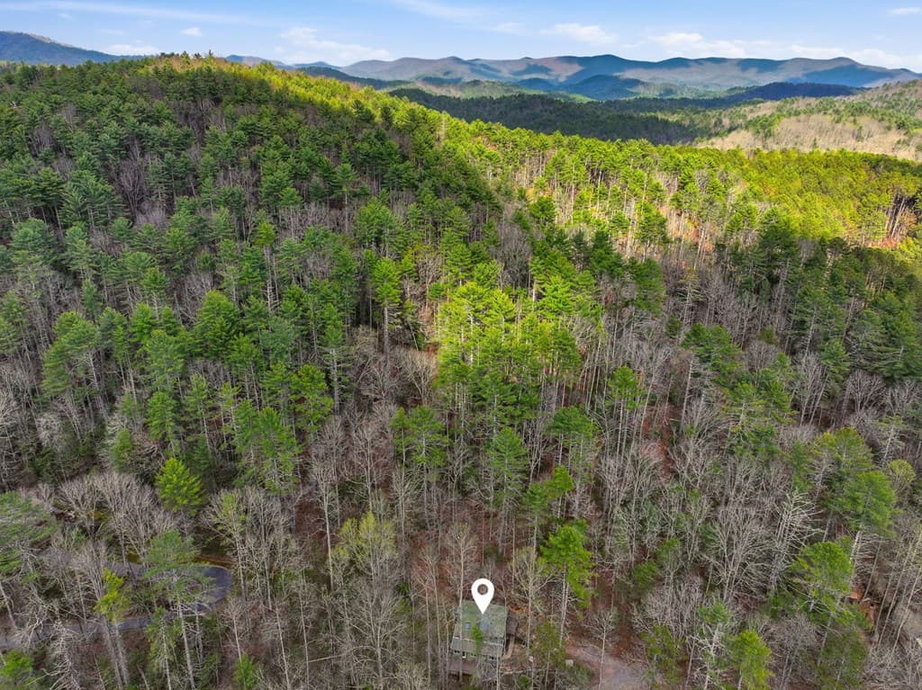 1780 Conasauga Road, Ellijay GA 30540 - Photo