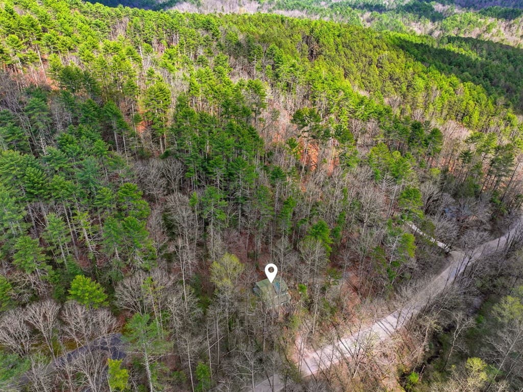 1780 Conasauga Road, Ellijay GA 30540 - Photo