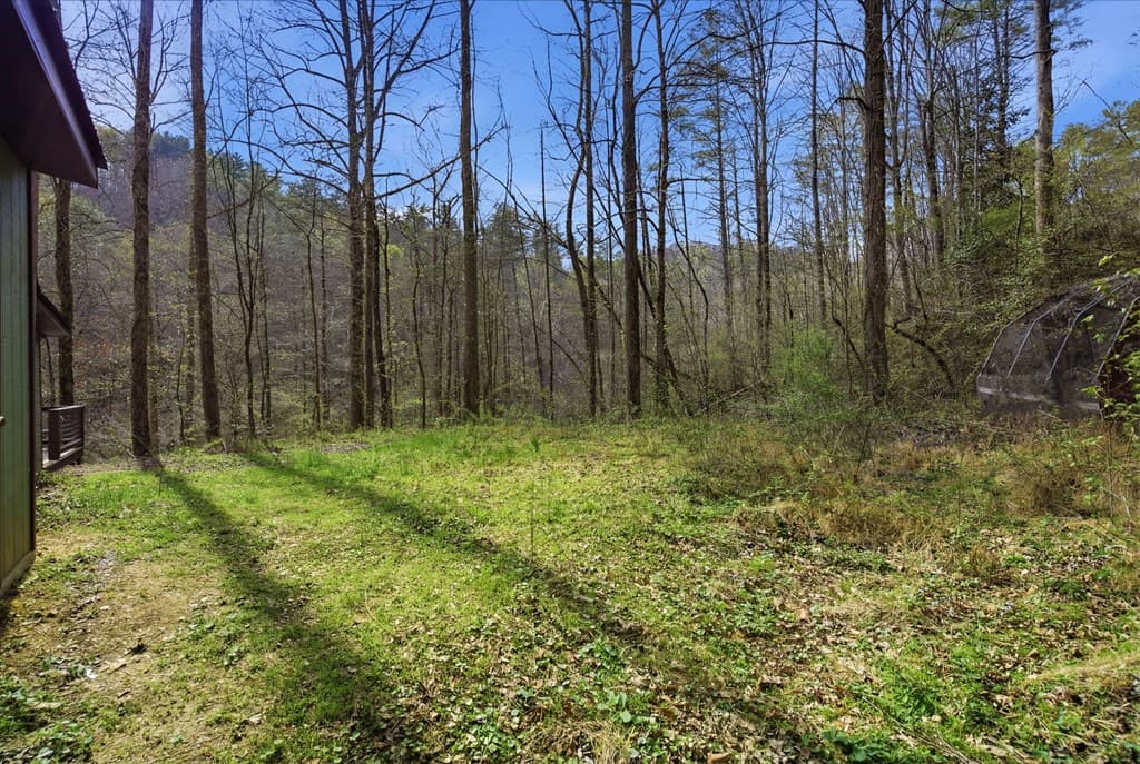1780 Conasauga Road, Ellijay GA 30540 - Photo