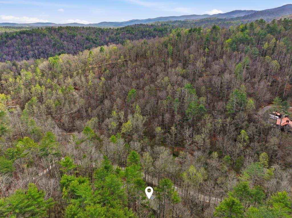 1780 Conasauga Road, Ellijay GA 30540 - Photo