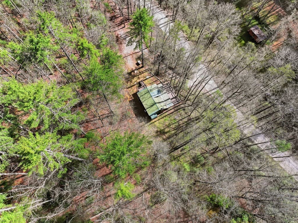 1780 Conasauga Road, Ellijay GA 30540 - Photo