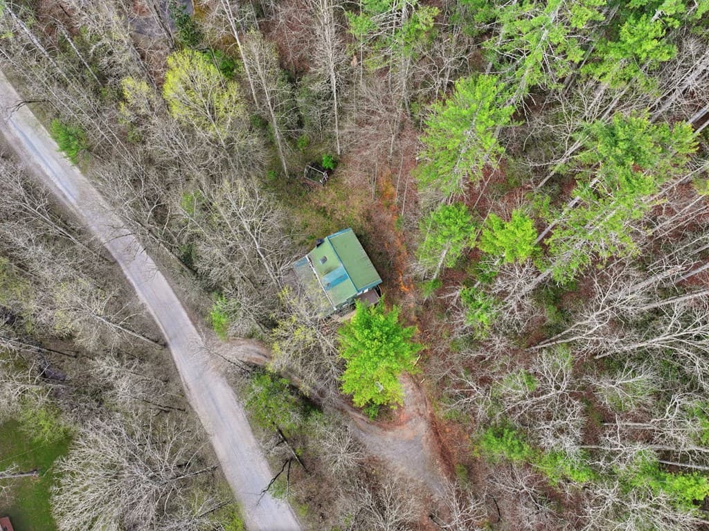 1780 Conasauga Road, Ellijay GA 30540 - Photo