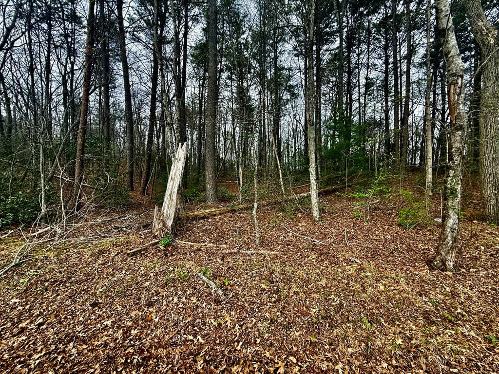 0 Hwy 68, Turtletown TN 37391 - Photo