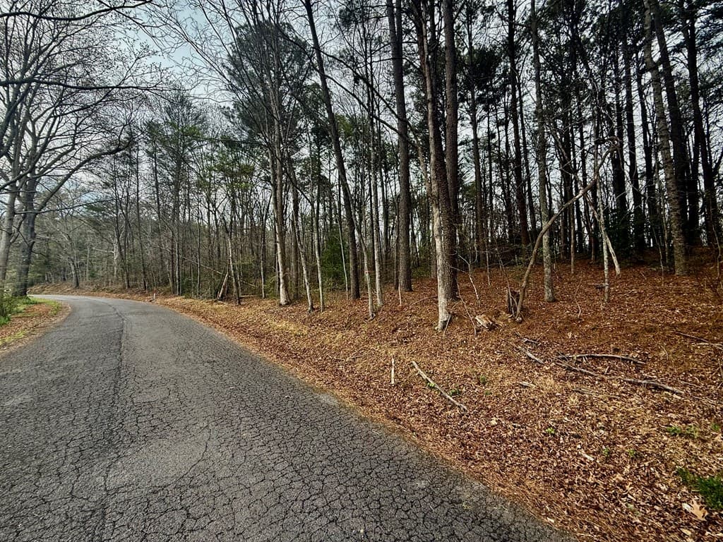 0 Hwy 68, Turtletown TN 37391 - Photo