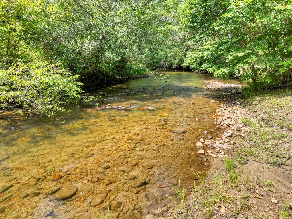 656 Newberry Drive, Ellijay GA 30536 - Photo