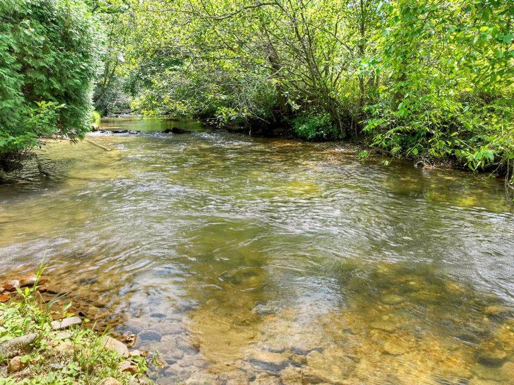 656 Newberry Drive, Ellijay GA 30536 - Photo