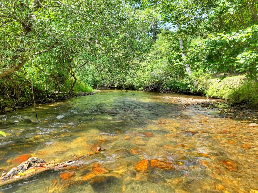 656 Newberry Drive, Ellijay GA 30536 - Photo