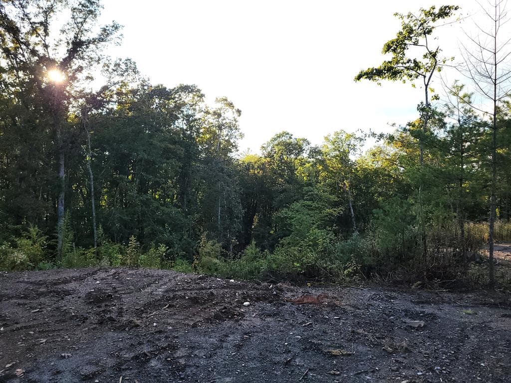 TRACT 2 Old Northcutt Road, Ellijay GA 30540 - Photo