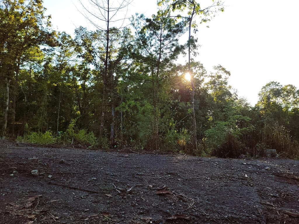 TRACT 2 Old Northcutt Road, Ellijay GA 30540 - Photo