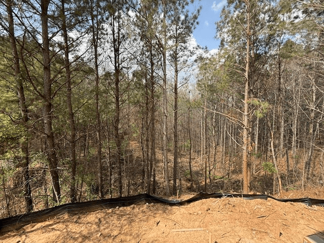 161 Ambrose Drive, Jasper GA 30143 - Photo