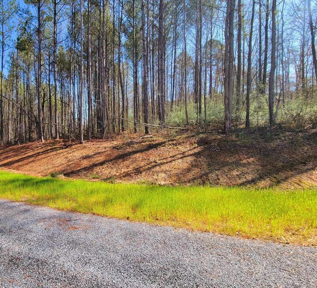 68 Mountaingate Way, Ellijay GA 30536 - Photo