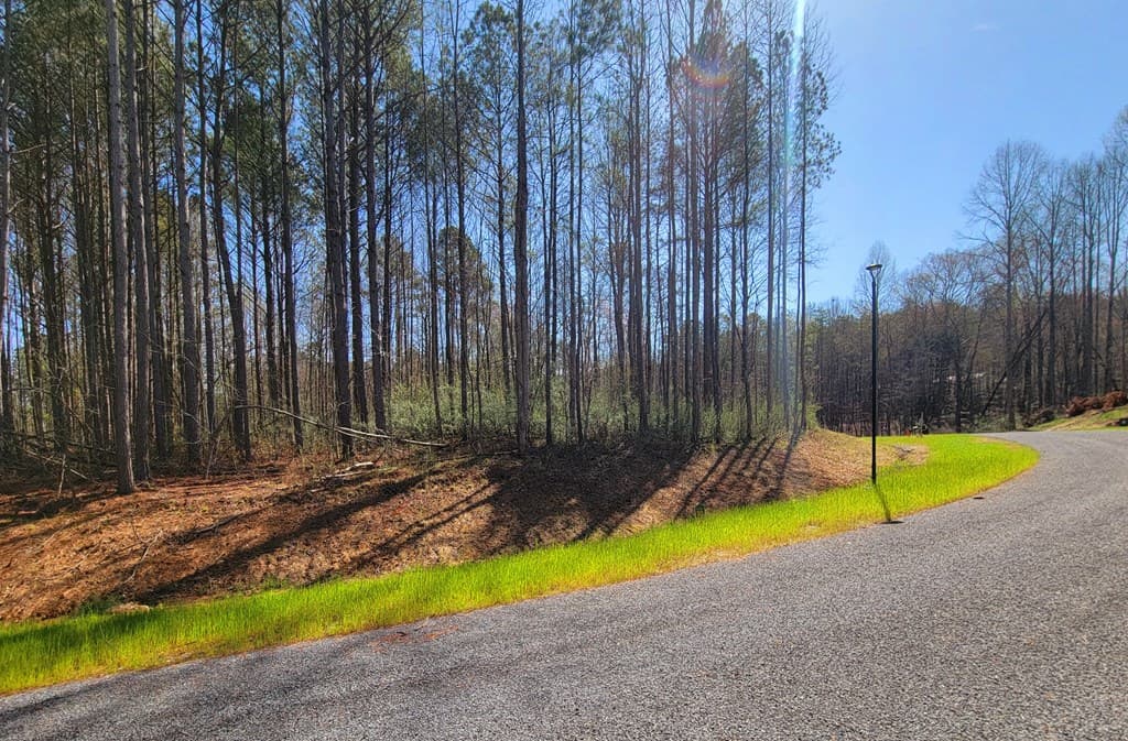 68 Mountaingate Way, Ellijay GA 30536 - Photo