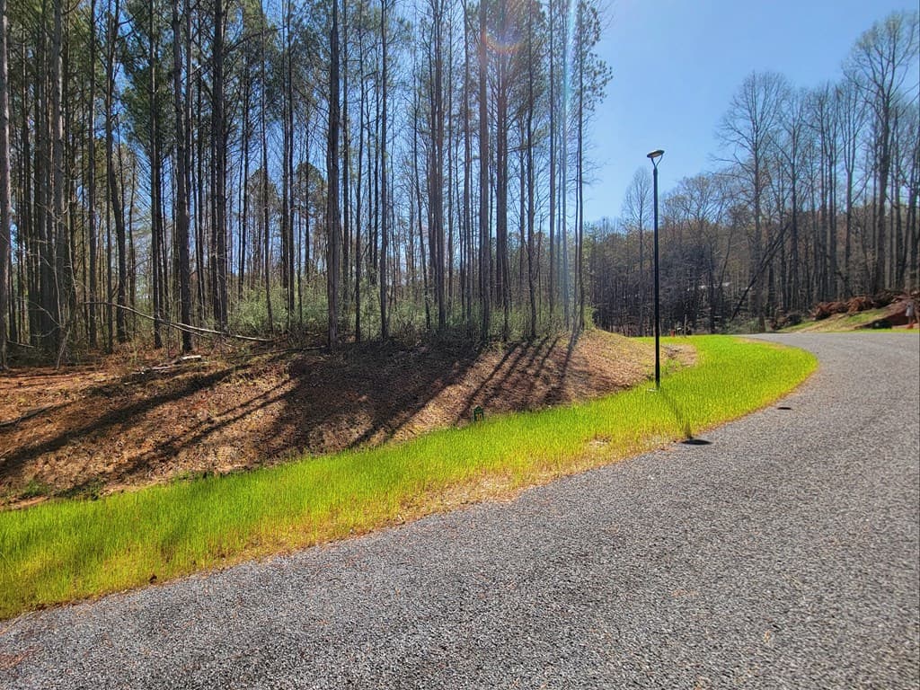 68 Mountaingate Way, Ellijay GA 30536 - Photo