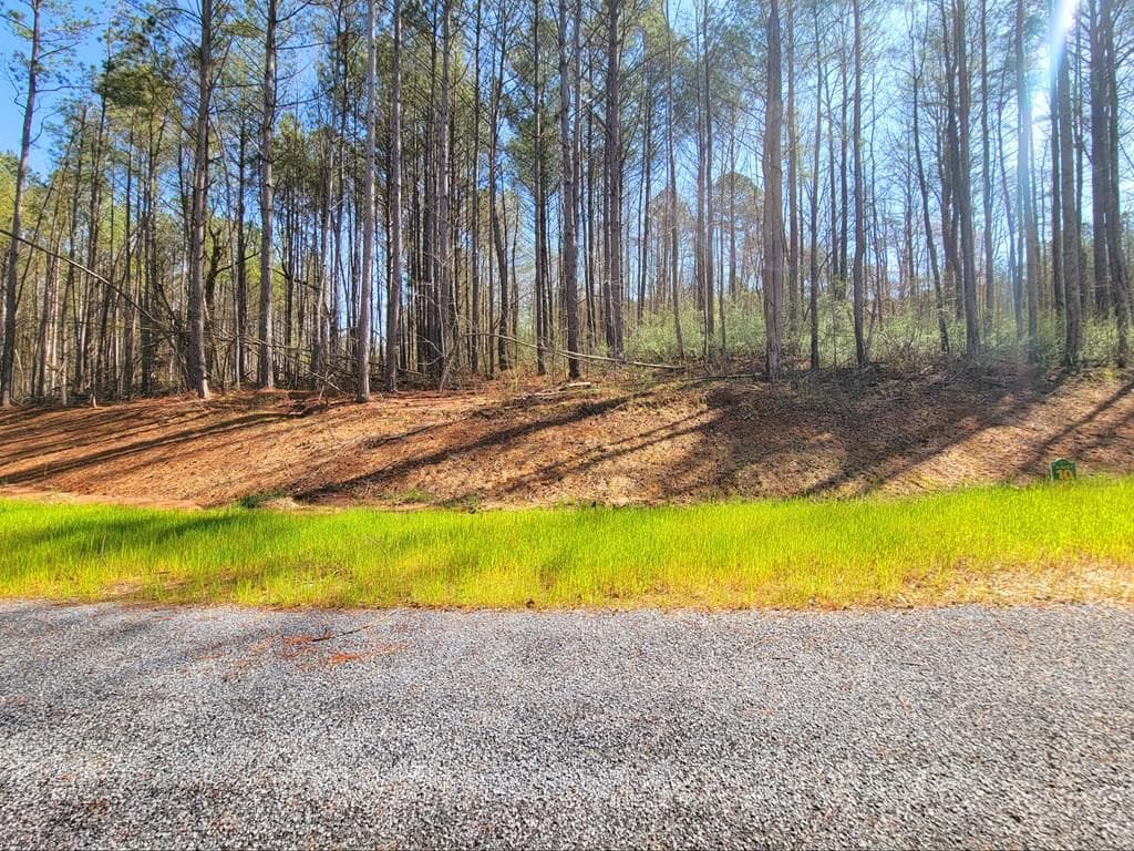 68 Mountaingate Way, Ellijay GA 30536 - Primary photo