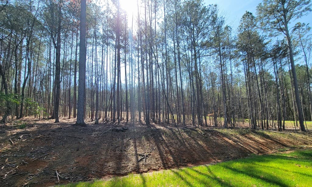 277 Mountaingate Way, Ellijay GA 30536 - Photo