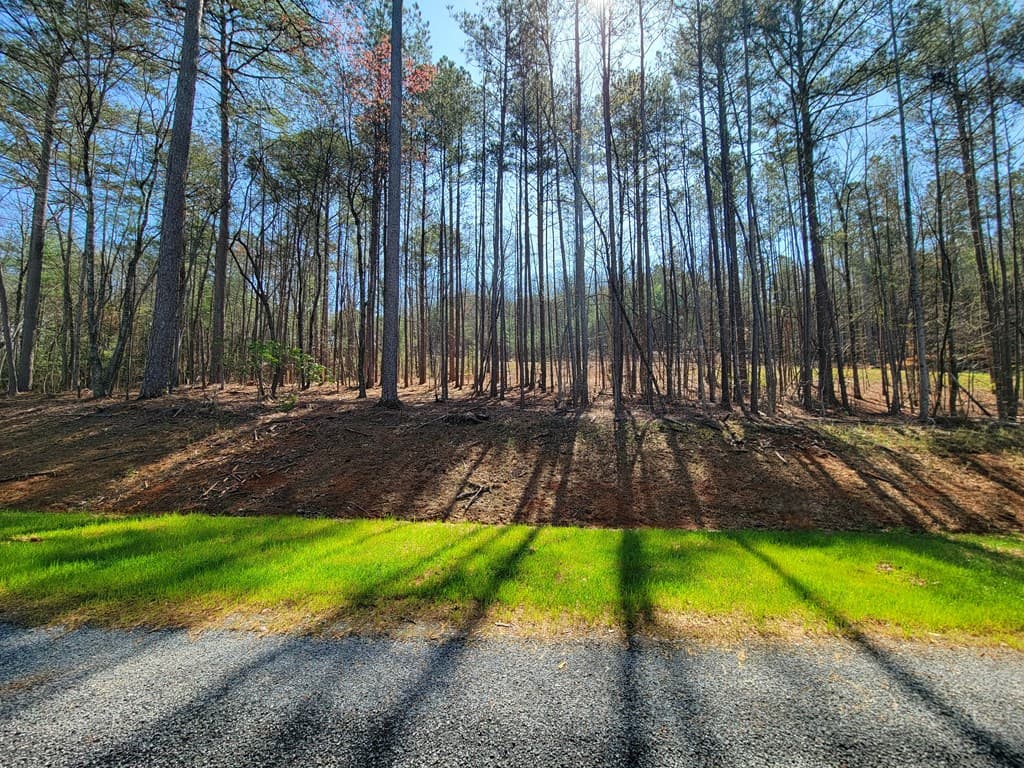 277 Mountaingate Way, Ellijay GA 30536 - Photo
