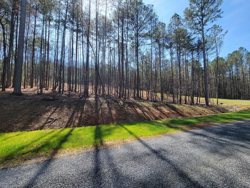 277 Mountaingate Way, Ellijay GA 30536 - Primary photo