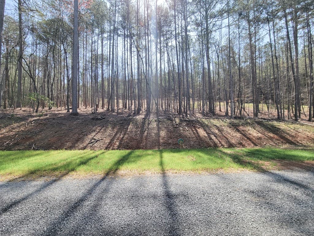 277 Mountaingate Way, Ellijay GA 30536 - Photo