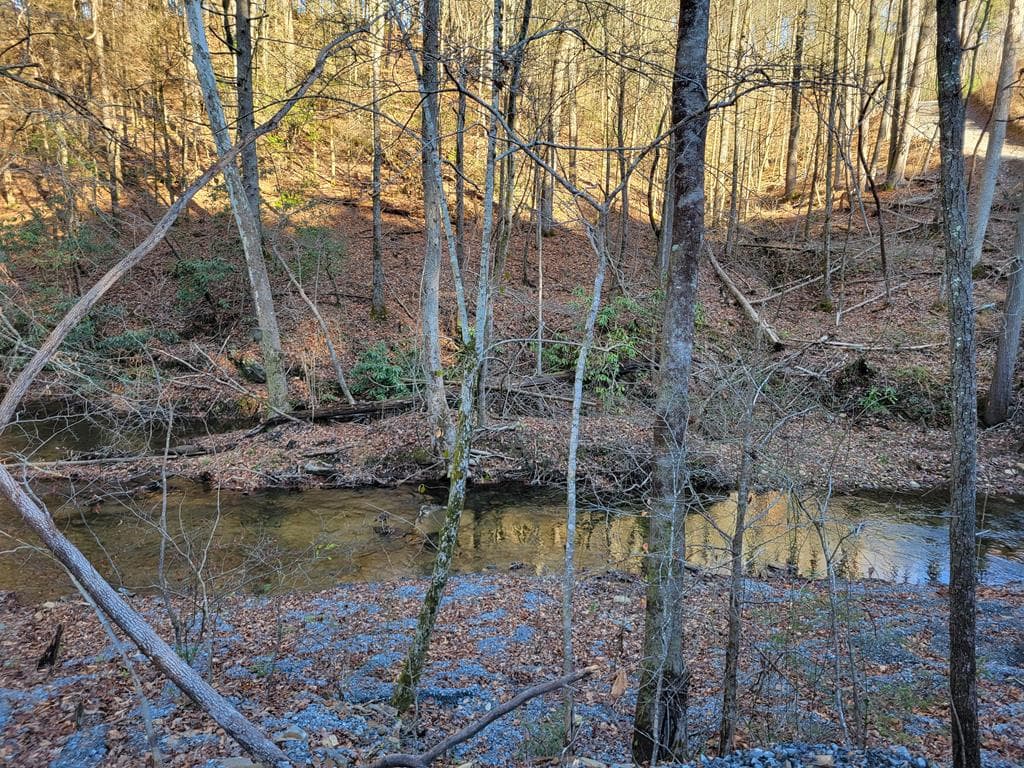277 Mountaingate Way, Ellijay GA 30536 - Photo