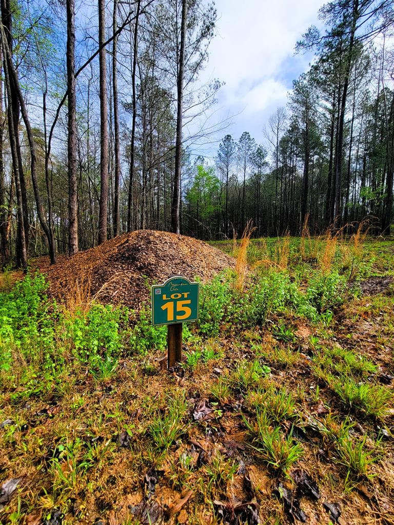 191 Mountaingate Way, Ellijay GA 30536 - Photo