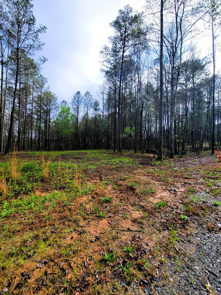 191 Mountaingate Way, Ellijay GA 30536 - Photo