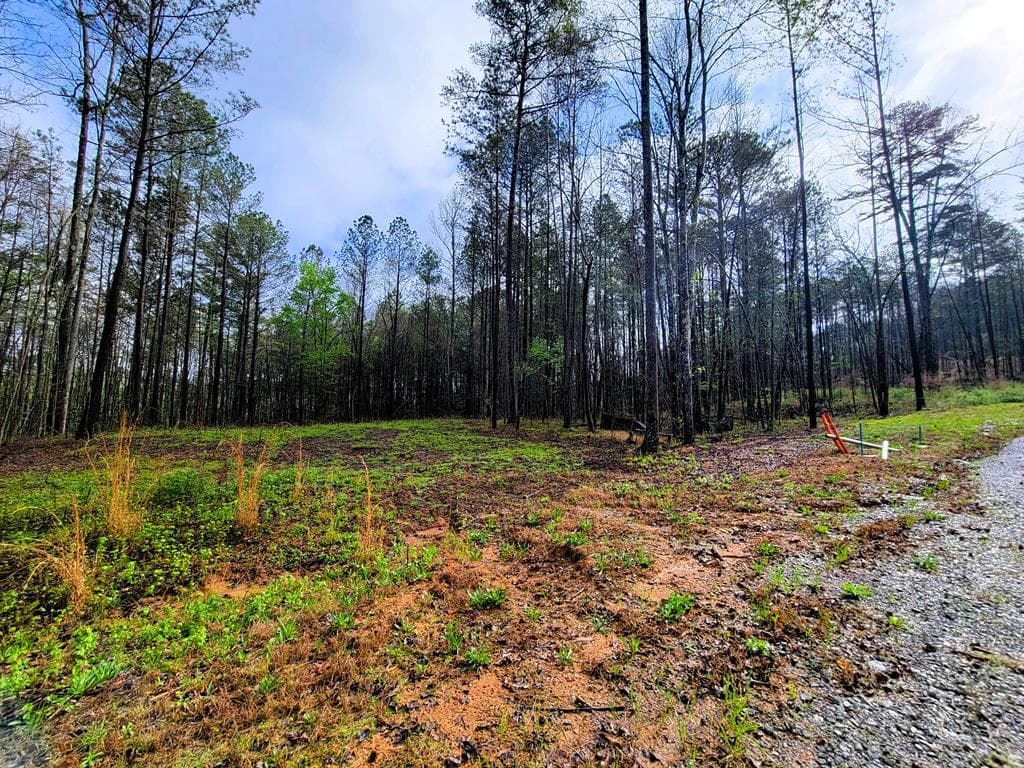 191 Mountaingate Way, Ellijay GA 30536 - Primary photo
