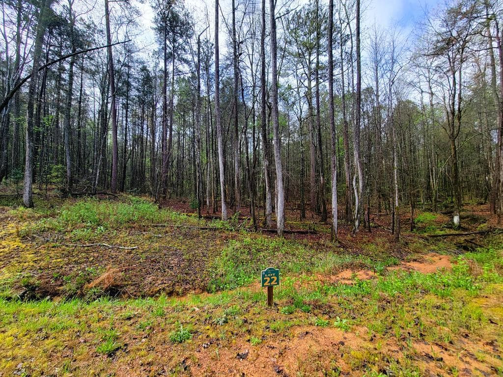 22 Mountaingate Way, Ellijay GA 30536 - Photo