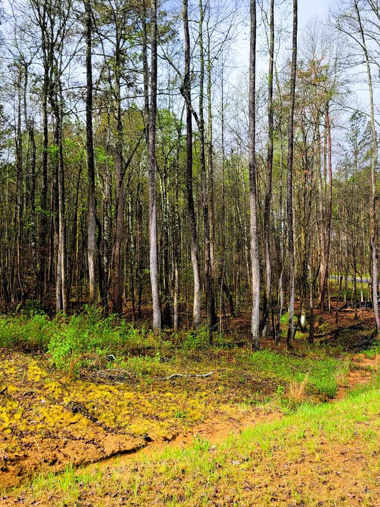 22 Mountaingate Way, Ellijay GA 30536 - Photo