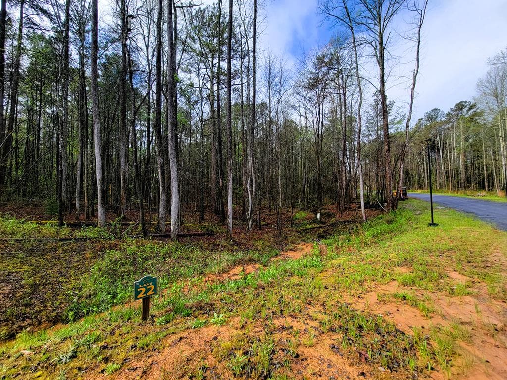22 Mountaingate Way, Ellijay GA 30536 - Photo