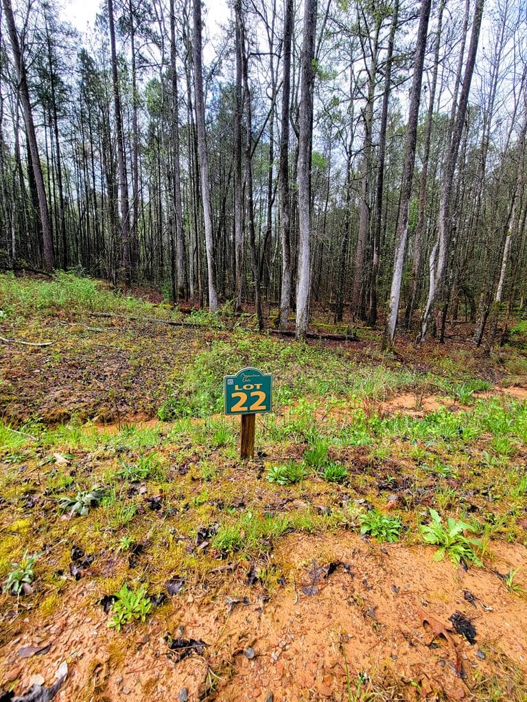 22 Mountaingate Way, Ellijay GA 30536 - Photo