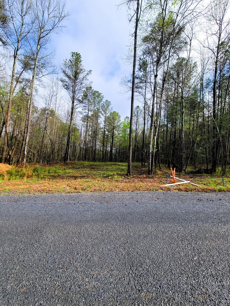 22 Mountaingate Way, Ellijay GA 30536 - Photo
