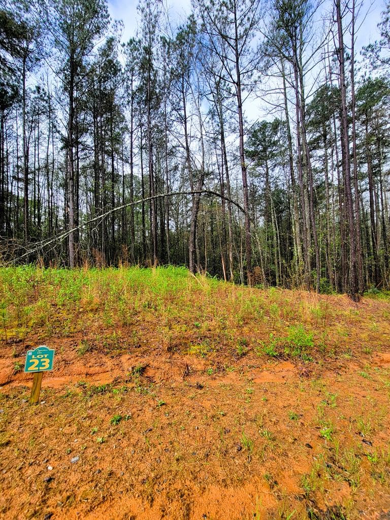 23 Mountaingate Way, Ellijay GA 30536 - Photo