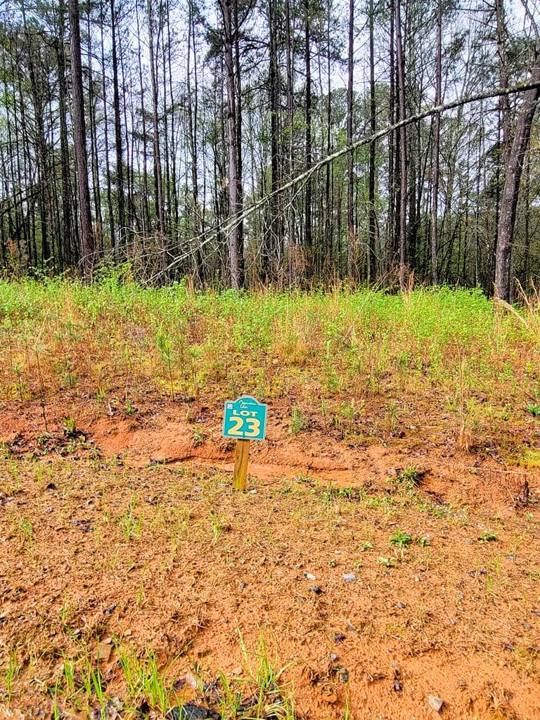 23 Mountaingate Way, Ellijay GA 30536 - Photo