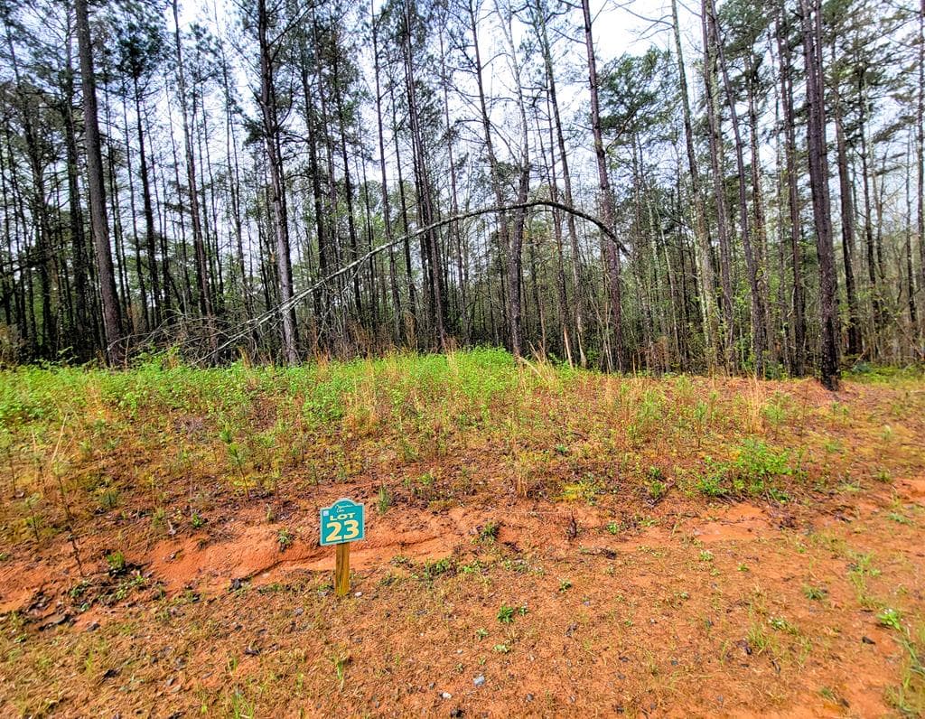23 Mountaingate Way, Ellijay GA 30536 - Photo