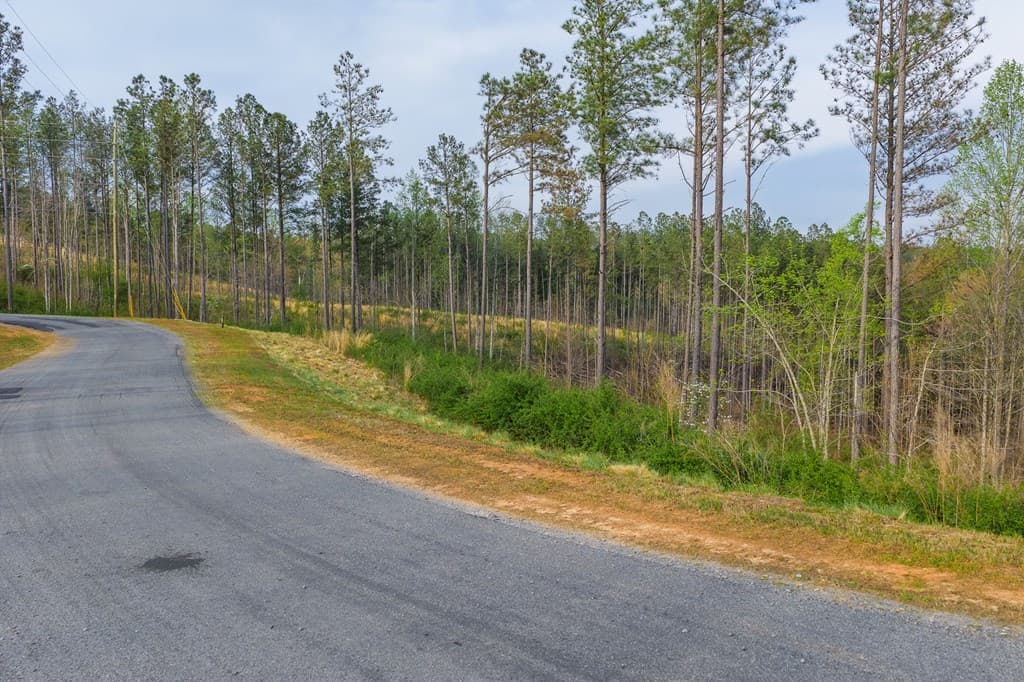 Lot 226 West Vista Ridge Parkway, Talking Rock GA 30175 - Photo