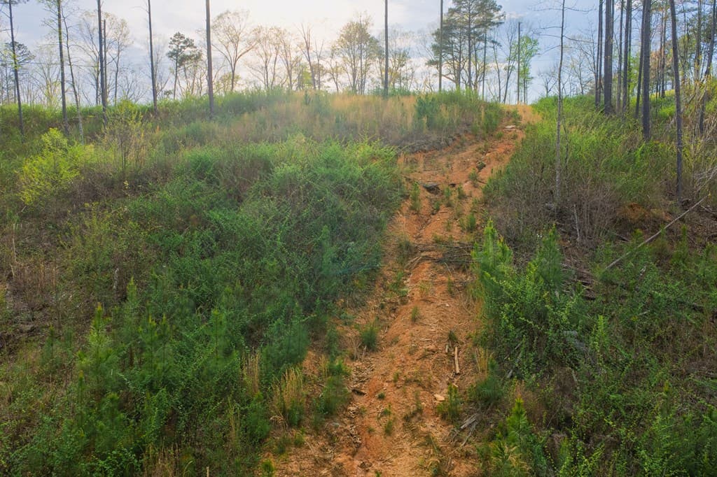 Lot 226 West Vista Ridge Parkway, Talking Rock GA 30175 - Photo