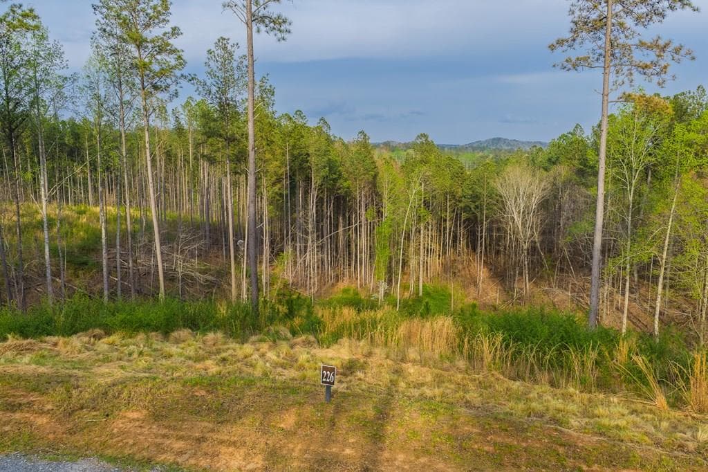 Lot 226 West Vista Ridge Parkway, Talking Rock GA 30175 - Primary photo