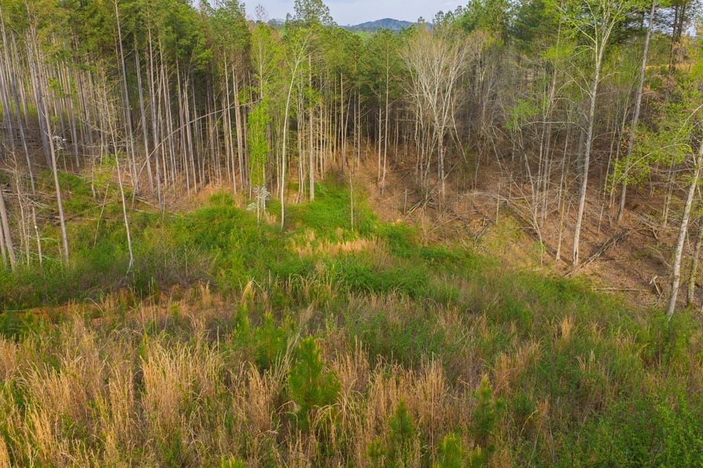 Lot 226 West Vista Ridge Parkway, Talking Rock GA 30175 - Photo