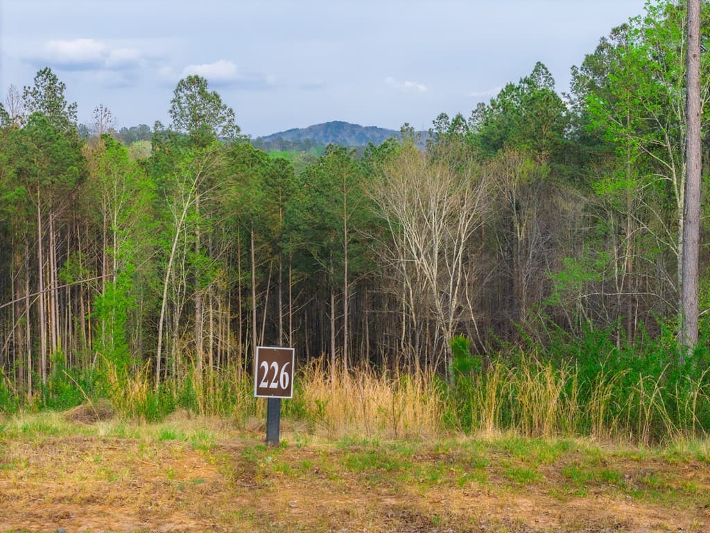 Lot 226 West Vista Ridge Parkway, Talking Rock GA 30175 - Photo